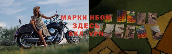 apvp Алзамай