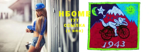 дурь Алексин