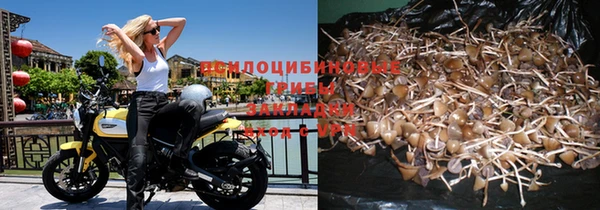 дурь Алексин