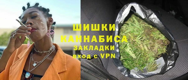 apvp Алзамай