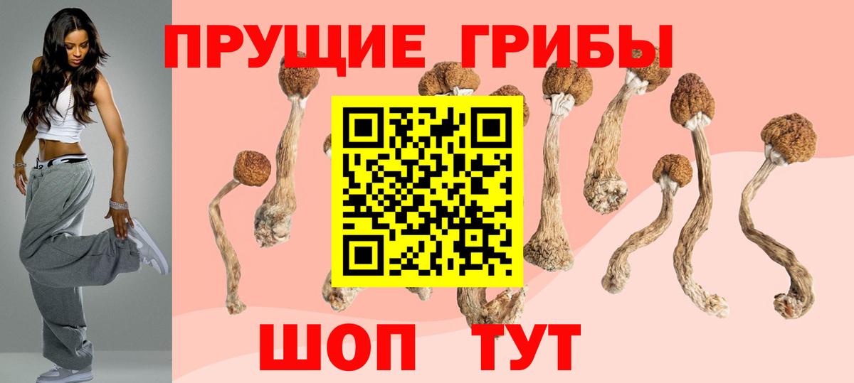 Галлюциногенные грибы мухоморы  Псилоцибиновые грибы Cubensis  Вход с VPN  Новокубанск 